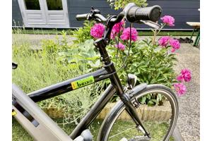 Set Fietsen Giant Revive LX + Beixo met Cardan Aandrijving