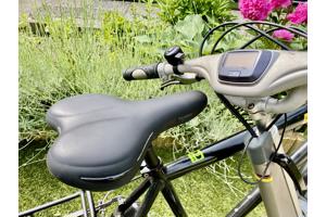 Set Fietsen Giant Revive LX + Beixo met Cardan Aandrijving