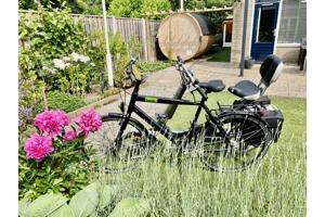 Set Fietsen Giant Revive LX + Beixo met Cardan Aandrijving