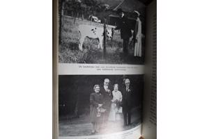 E. Claes  -  Toen De Witte werd verfilmd