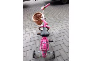 Leuk Rose 12 inch meisjesfiets