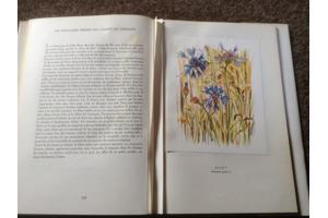 Boek Fleurs sur ton chemin ,mooie illustraties ,tekst en uit