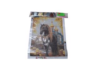 nr 60 Diamond Painting paard paleis 50x40cm (vierkant)