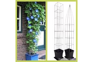 KLIMPLANTEN DE VERTICALE TUIN TEGEN SCHUTTINGEN