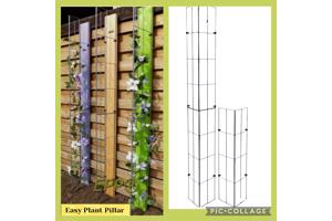 KLIMPLANTEN DE VERTICALE TUIN TEGEN SCHUTTINGEN