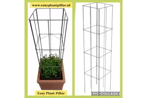 KLIMPLANTEN DE VERTICALE TUIN TEGEN SCHUTTINGEN