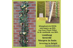 KLIMPLANTEN DE VERTICALE TUIN TEGEN SCHUTTINGEN