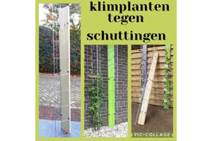 KLIMPLANTEN DE VERTICALE TUIN TEGEN SCHUTTINGEN