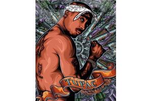 nr 2038 Diamond Painting rapper 50x40cm (rond)