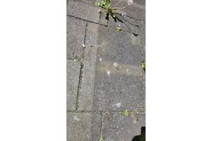 54 m^2 Antraciet/grijze terras/tuintegels (wildverband)