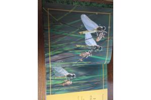 Natuur in België   - Heide en Venen