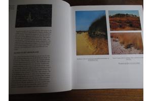 Natuur in België   - Heide en Venen