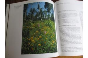 Natuur in België   - Heide en Venen