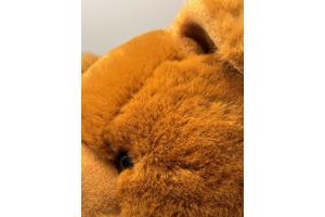 Grote plush beer, bruine kleur, kinder speelgoed