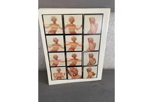 Boek: Marilyn Monroe: Haar laatste fotosessie