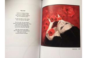 Transparante Dekking - Sammy Balistreri