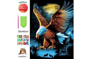 nr 8 Diamond Painting roofvogel 50x40cm (vierkant)