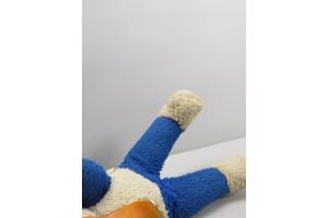 Disney Donald Duck (Chiltern Hygienic Toys)