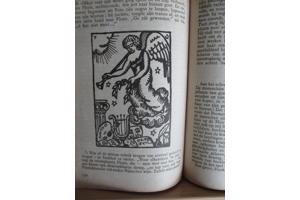 Felix Tmmermans  -  Pieter Bruegel