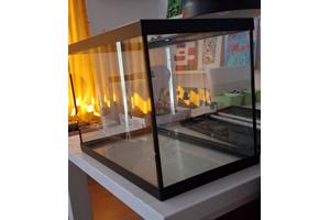 Top Aquarium