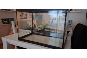 Top Aquarium