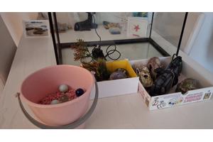 Top Aquarium