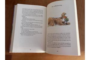 Paul Biegel : Virgilius van Tuil (dwergje).