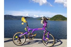 Ik zoek een of twee Brompton en of Riese Birdy Müller Vouwfietsen