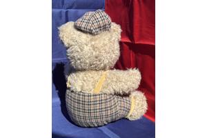 Beer Interprasent ruiten kleding kijkt naar links ruwe vacht