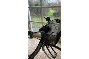 Nette damesfiets stadsfiets met lage instap, mand voorop