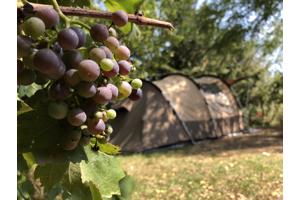 Bardani Tacoma Beach 3-4 persoons tent (technisch katoen)