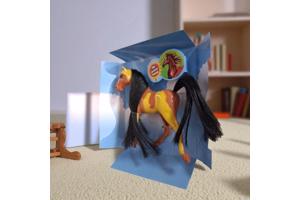 Little horse speelpaard camel bruin gevlekt zwart haar