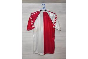 Feyenoord shirts reproducties €55