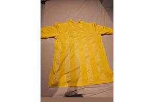 Feyenoord shirts reproducties €55