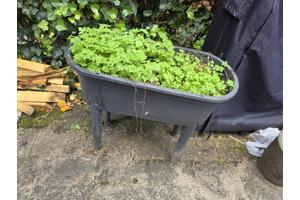 Planten kweekbak op poten incl deksel