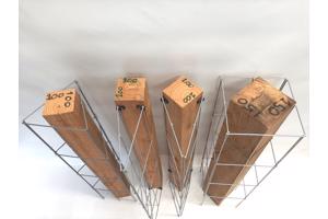 Klimplantrekken klimplantenrek plantenrekken klimplantrek