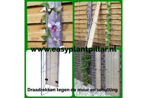 Klimplantrekken klimplantenrek plantenrekken klimplantrek