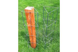 Klimplantrekken klimplantenrek plantenrekken klimplantrek