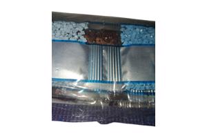 nr 40 Diamond Painting pauw strand 50x40cm (vierkant)