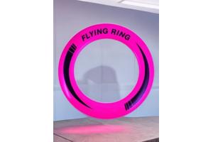 Frisbee met een Diameter van 25 Cm roze