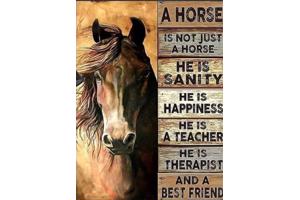 nr 2010 Diamond Painting paard met tekst 50x40cm (rond)