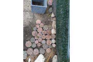 Mooie ronde stenen Sierbestrating