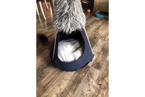 Tipi tent voor kat of kleine hond