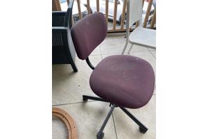 Dining chairs cushioned