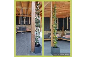 Klimrekken plantensteunen voor terras en balkon