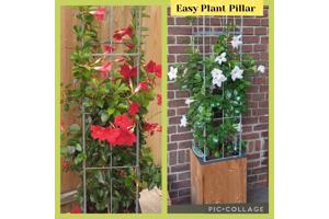 Klimrekken plantensteunen voor terras en balkon