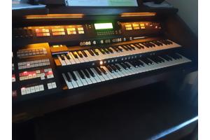 Hammond Orgel te koop