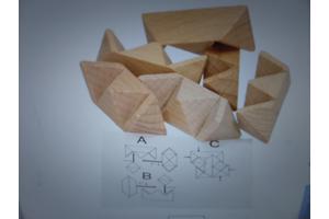 Set van 12 houten IQ puzzels echte hersenkrakers / breinbrek