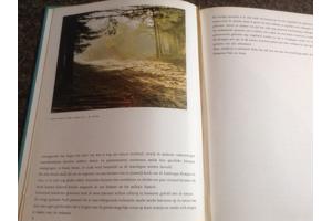 Wandeling door Waals Brabant ,de Dender, Vlaamse steden