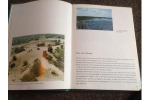 Wandeling door Waals Brabant ,de Dender, Vlaamse steden